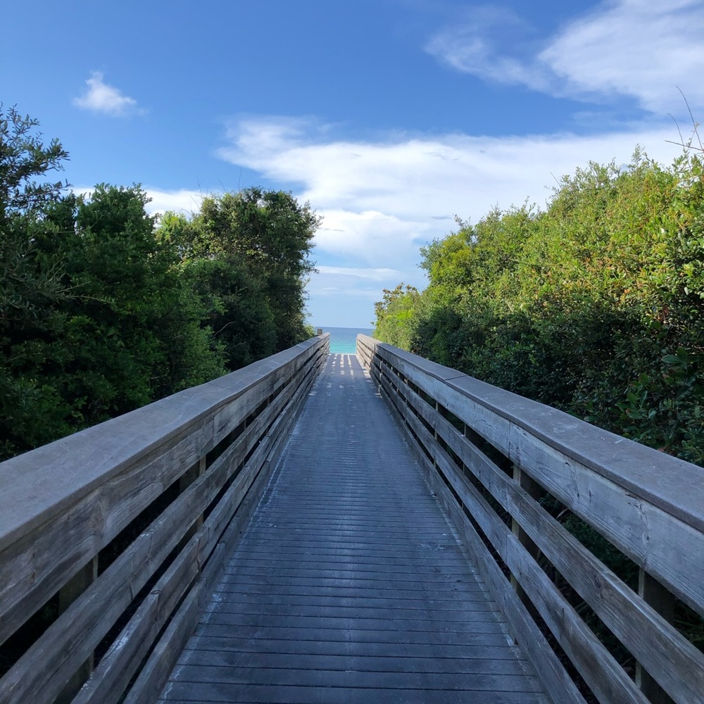 Meet your Posher, Shelby